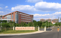 若有不实或者表述不